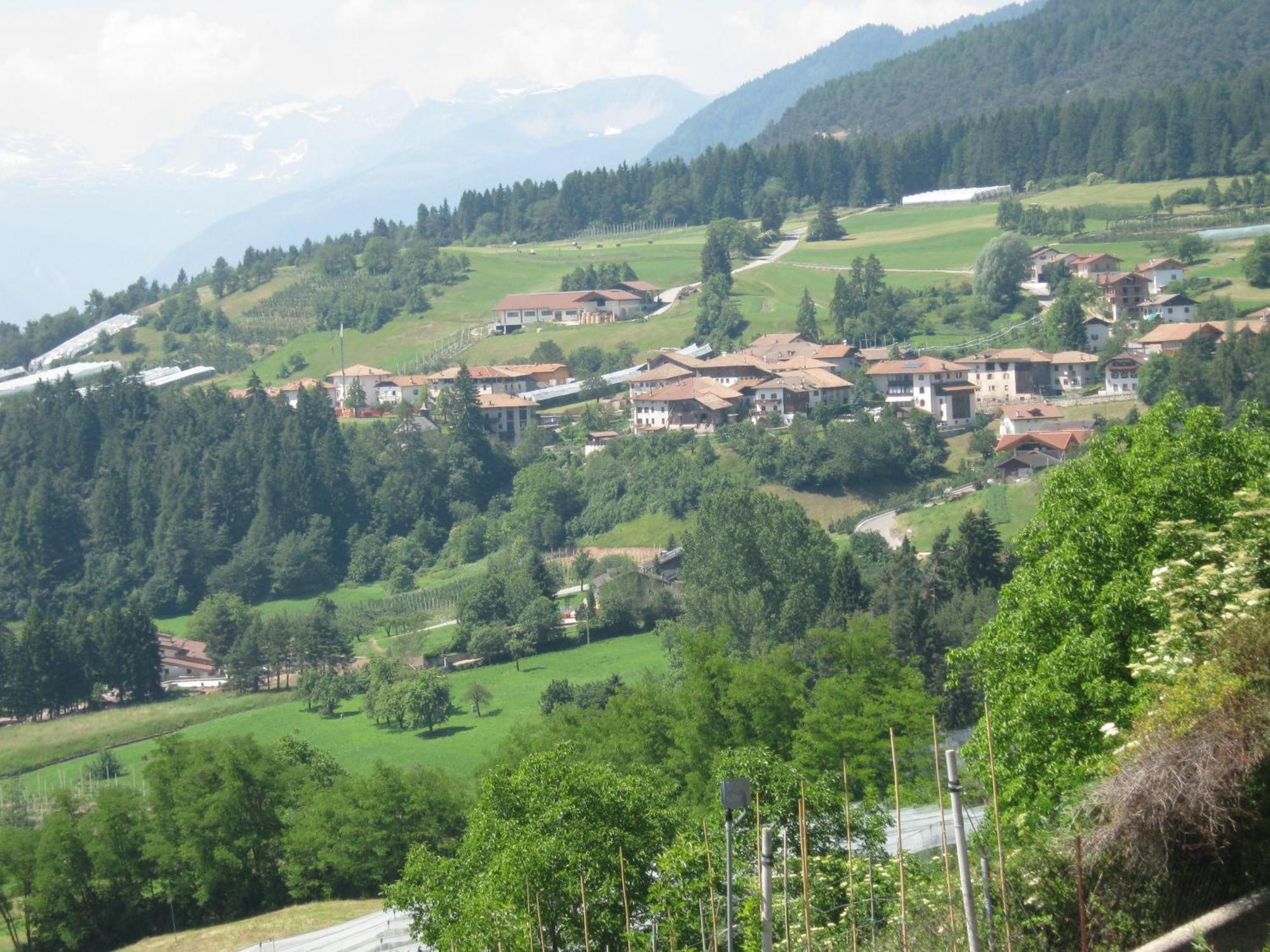 Agriturismo Pisani Brez Bagian luar foto